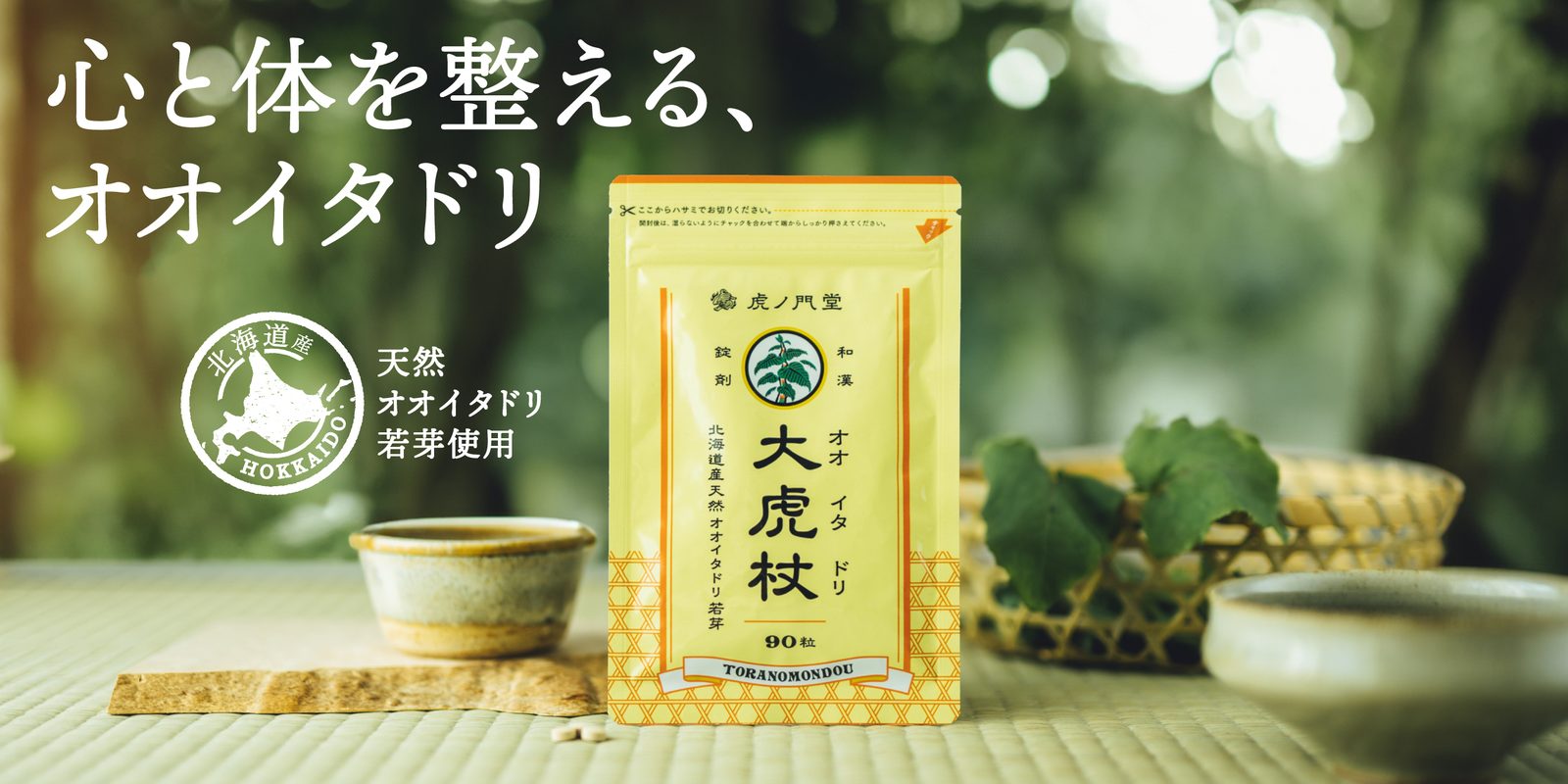 大虎杖（イタドリ）
