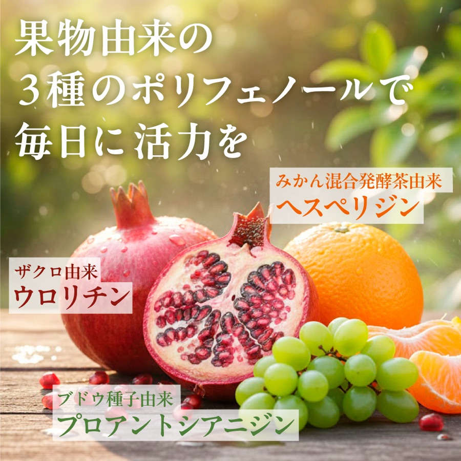 ザクロ・みかん・ブドウ。果物由来の3種のポリフェノール